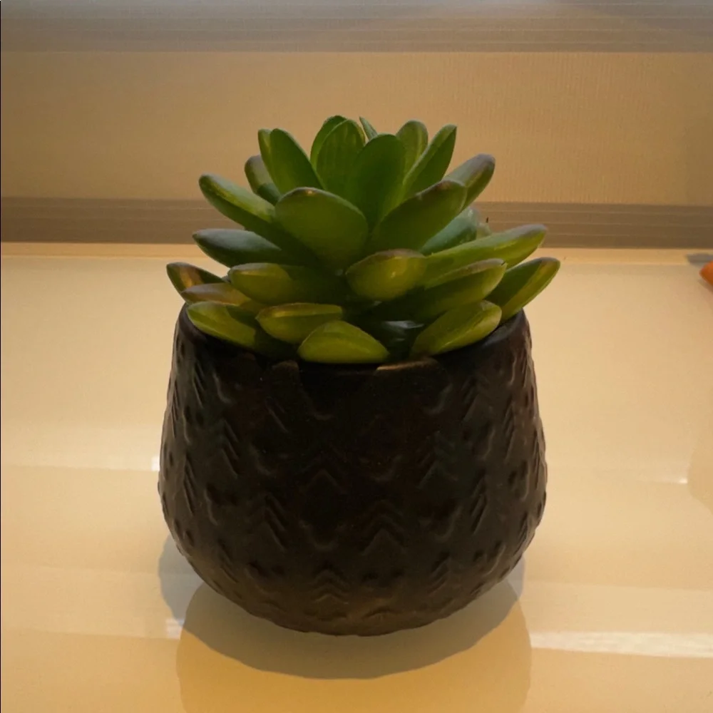 DISNEY PARKS MICKEY HOMESTEAD ARTIFICIAL SUCCULENT POTTED PLANT